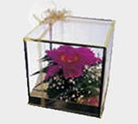 1 orquidea en caja decorada
