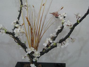 Envio de flores a domicilio