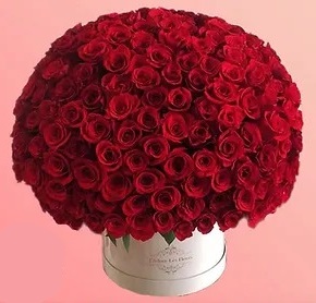 Foto de Gran caja redonda con 200 rosas ROSAS IMPORTADAS