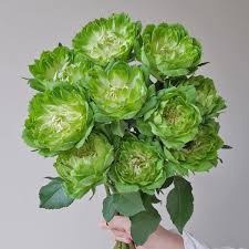 Foto de RAMO DE 6 ROSAS VEGGIES UNICAS 