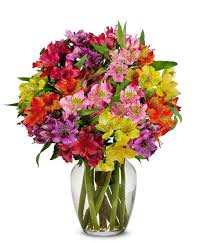 Foto de Florero con 15 alstromerias de colores