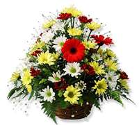 Foto de Arreglo floral con gerberas y margaritas