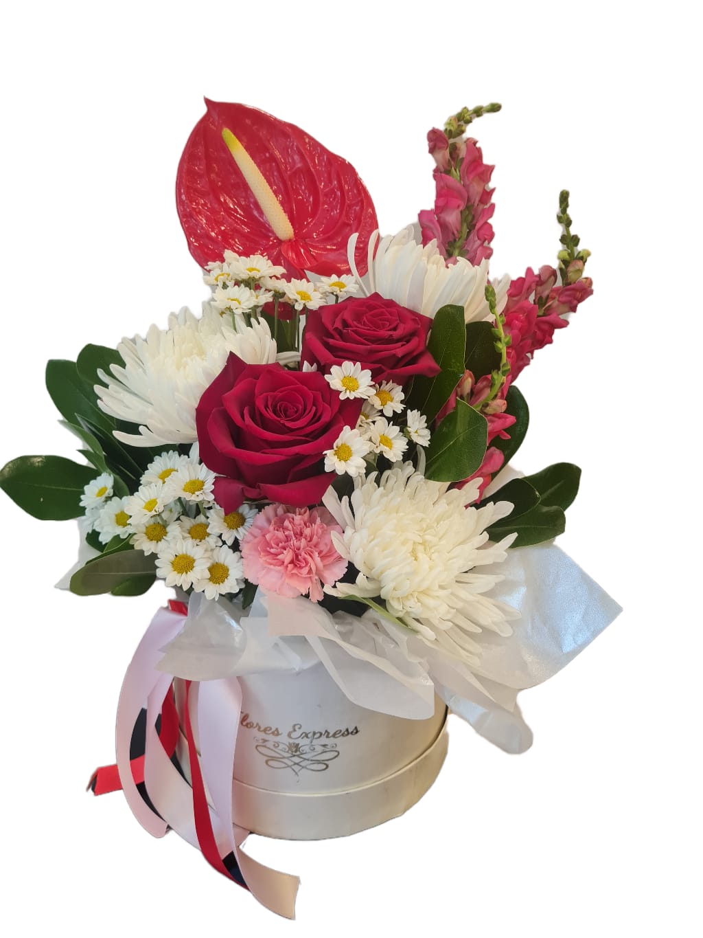 Foto de Box Especial