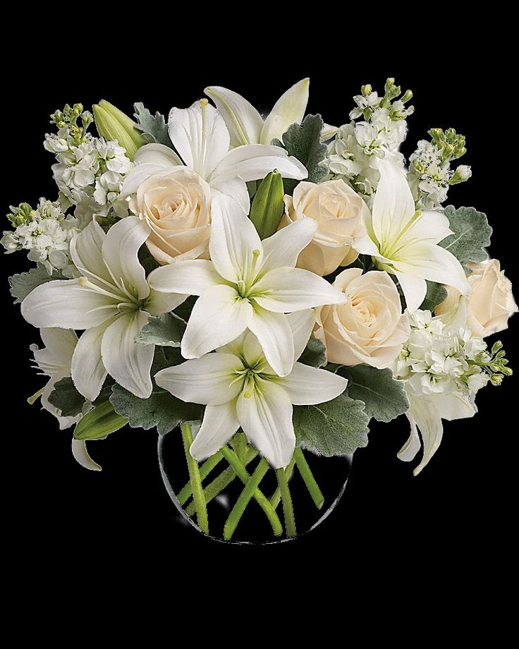 Foto de Florero bajo Blanco