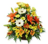 Foto de Arreglo floral con gerberas, margaritas y lilyum - Envio de flores a domicilio