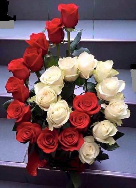 Foto de Rosas Rojas y Blancas en Espiral 