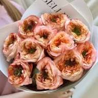 Foto de Rosas Importadas de jardin